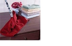 PANO CHAO 60X80CM MICROFIBRA 10538