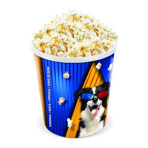 PIPOQUEIRA ARQPLAST DECORADA       25251