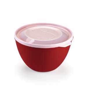 POTE RAINHA 800ML BOWL COLOR 8182